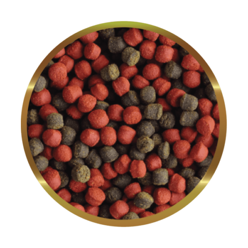 SHG CHIRONOMUS LIOFILIZZATO – Alimento naturale...