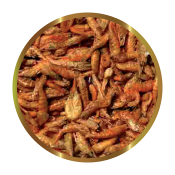SHG Krill lyophilisé (euphasie du Pacifique) - Aliments... 2