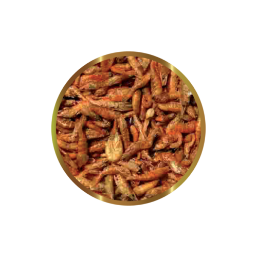 SHG Krill lyophilisé (euphasie du Pacifique) -...