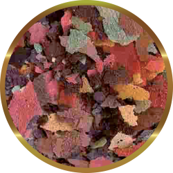 SHG Fioccomix - Complete feed in freshwater tropical fish bows