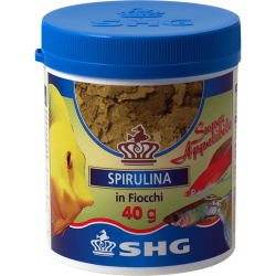 Spirulina in polvere Extra Fine 25 g SHG