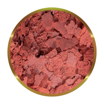 copy of Biocarbon 3 SHG 2