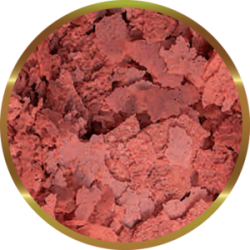 SHG Hi RED in flakes - Complete feed to intensify the coloring of tropical freshwater fish