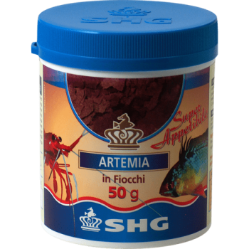 SHG Artemia in flakes - complete high digestibility feed...