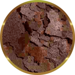 SHG Artemia in flakes - complete high digestibility feed for tropical freshwater and marine fish