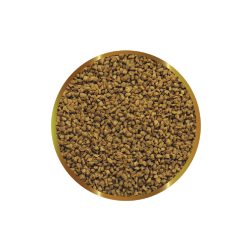 copy of Biocarbon 3 SHG