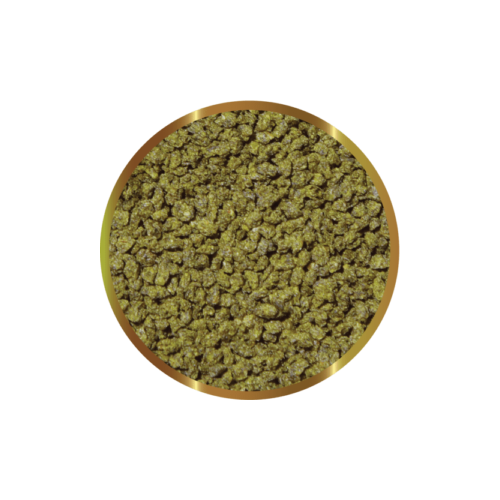 copy of Biocarbon 3 SHG