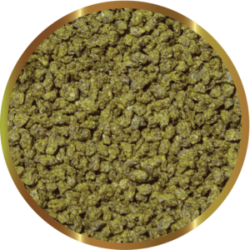 copy of Biocarbon 3 SHG