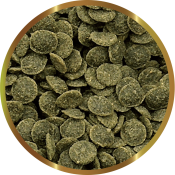 SHG CARIDINA GREENCHIPS 25 GR - Complete vegetable feed... 2