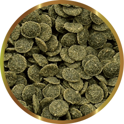 SHG CARIDINA GREENCHIPS 25 GR - Complete vegetable feed for caridine and neocaridins