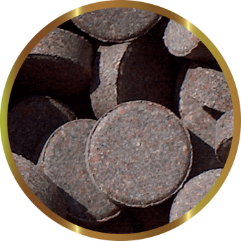 SHG Corytabs - Complettes de naufrage complet pour... 2