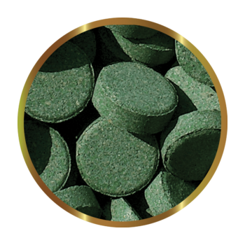 SHG Plecotabs - vegetable pills for loricarides and... 2