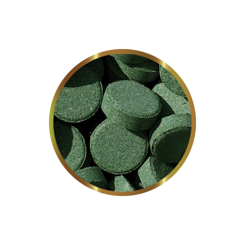 SHG PLECOTABS - Pastiglie Vegetali per...