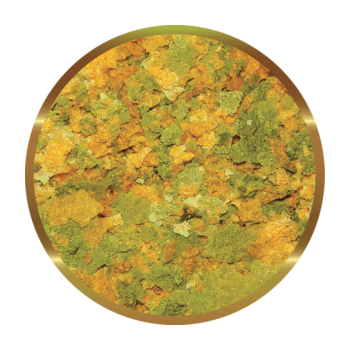 SHG Malawi in flakes - Complete feed in scales studied... 2