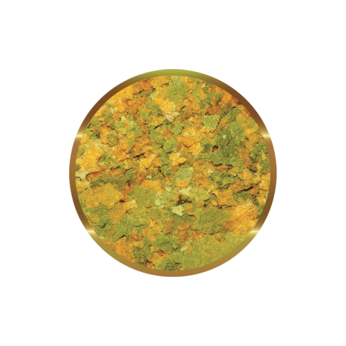 copy of Biocarbon 3 SHG