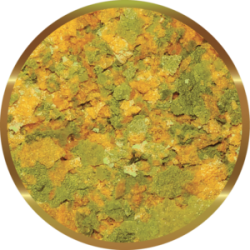 copy of Biocarbon 3 SHG