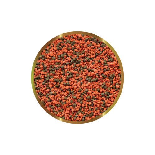 copy of Biocarbon 3 SHG