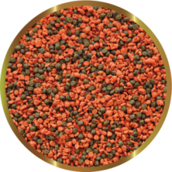 SHG Cichlid Small - Complete feed for small and medium-sized cichlids on a vegetarian diet