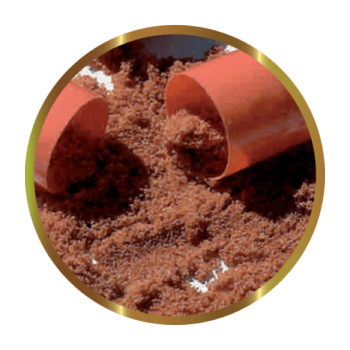 copy of Biocarbon 3 SHG 2