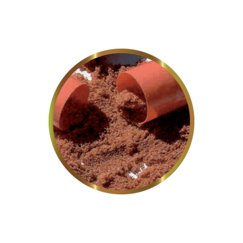 copy of Biocarbon 3 SHG