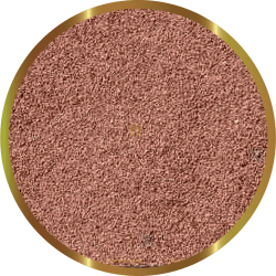 SHG Artemia cysts 10 gr - essential food for fry fish of aquarium