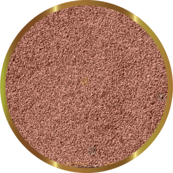 SHG Artemia Decapiulata 25 Gr - Nourriture naturelle pour... 2