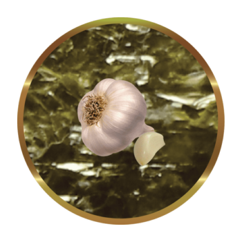 SHG Algarlic (20 sheets-10 gr) - Marine algae enriched... 2
