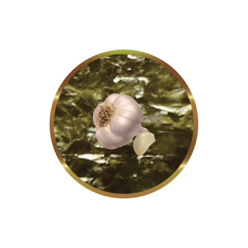 SHG ALGARLIC (20 FOGLI-10 gr) - Alghe Marine...