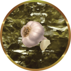 SHG Algarlic (20 feuilles-10 gr) - Algues marines enrichies d'un extrait d'ail pour poisson