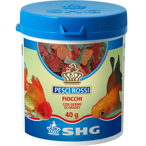 SHG Poisson rouge dans des flocons - Flux...