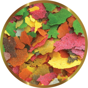 SHG Poisson rouge dans des flocons - Flux complet pour... 2