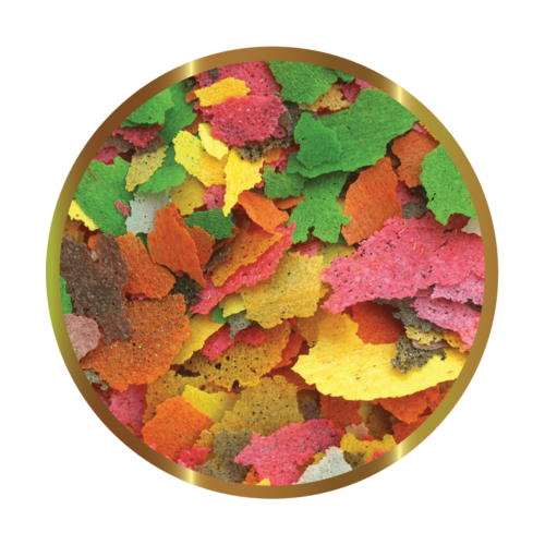 SHG Red fish in flakes - Complete feed for cold...