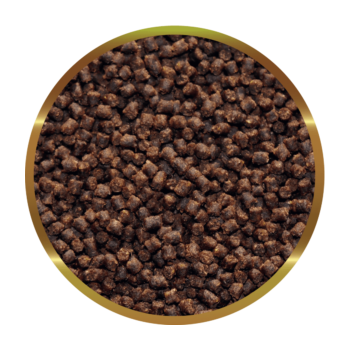 SHG Oranda Granules - Slowed feed for double-tailed red... 2