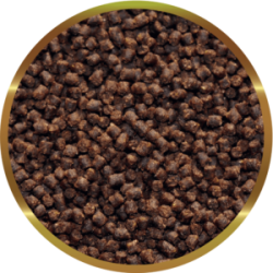 SHG Oranda Granules - Slowed feed for double-tailed red fish and young ornamental koi