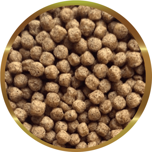 SHG KOI Pellet - Complete feed for carp and...