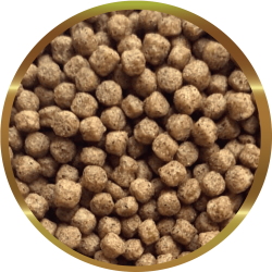 SHG KOI PELLET - Mangime Completo per Carpe e Pesci Ornamentali da Laghetto