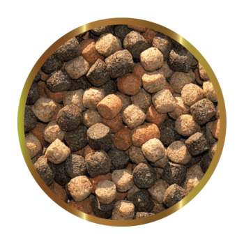 SHG KOI Special - Complete feed for carp and ornamental... 2
