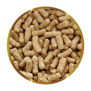 SHG Koi Stick - Flux complet dans Stick pour les carpes... 2