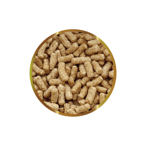 SHG KOI STICK - Mangime Completo in Stick per...