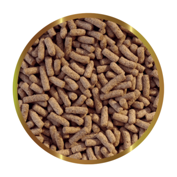 SHG GAMMARUS STICK - Mangime Completo per Tartarughe... 2