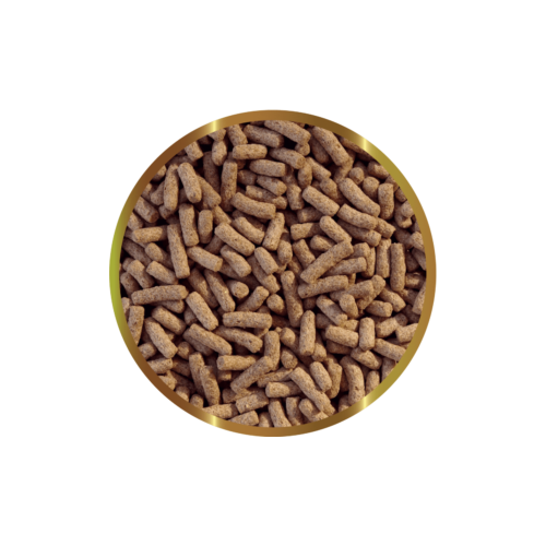 copy of Biocarbon 3 SHG