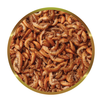 SHG GAMMARUS - Complemento Alimentare Naturale per... 2