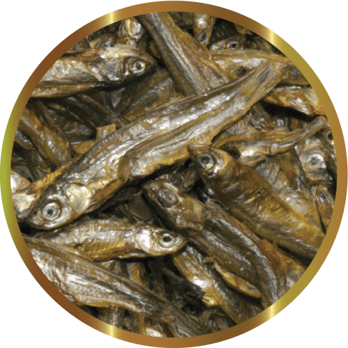 SHG PESCIOLINI - Alimento naturale ad alto...