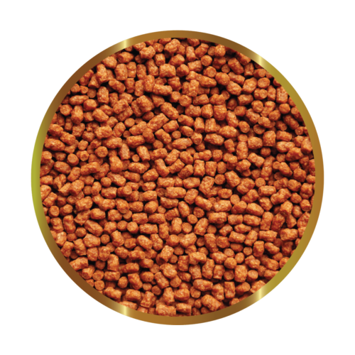 SHG Young Turtle Pellet - Complete feed...