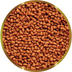 SHG YOUNG TURTLE PELLET - Mangime completo specificamente formulato per giovani tartarughe acquatiche in fase di crescita