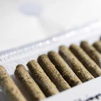 copy of Lecca lecca mix per caridine e gamberetti (10... 2