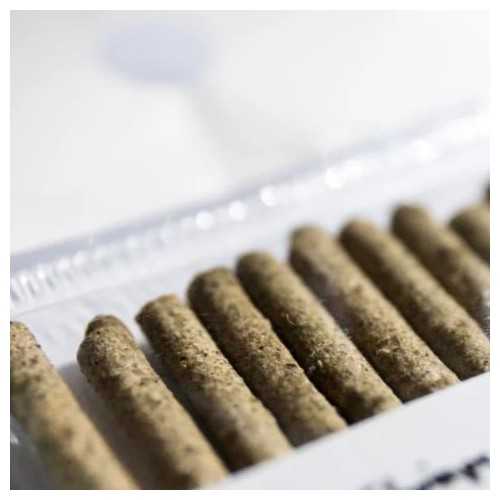 Shrimp Stick - Lecca lecca spinaci per caridine...