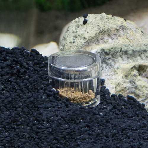 Hobby Planaria X - Trappola per Planarie