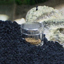 Hobby Planaria X - Trappola per Planarie