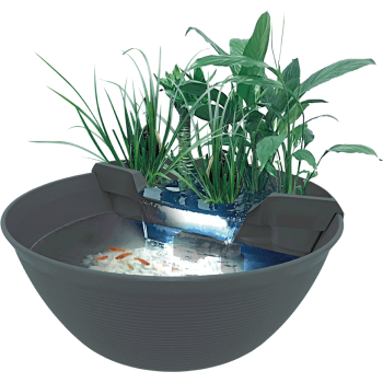 Superfish Mini Pond 30 litres - Mini Pond décoratif Compact pour le jardin, la terrasse et l'intérieur
